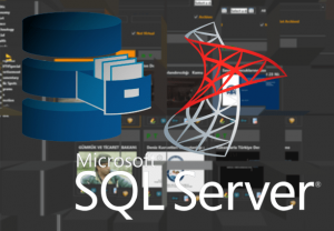 Easy Mam Database driven-Mysql&mssql